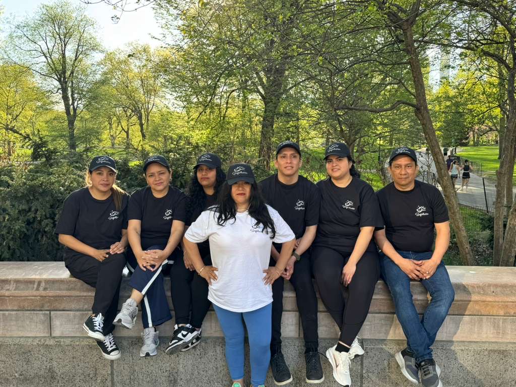 Professional cleaning team